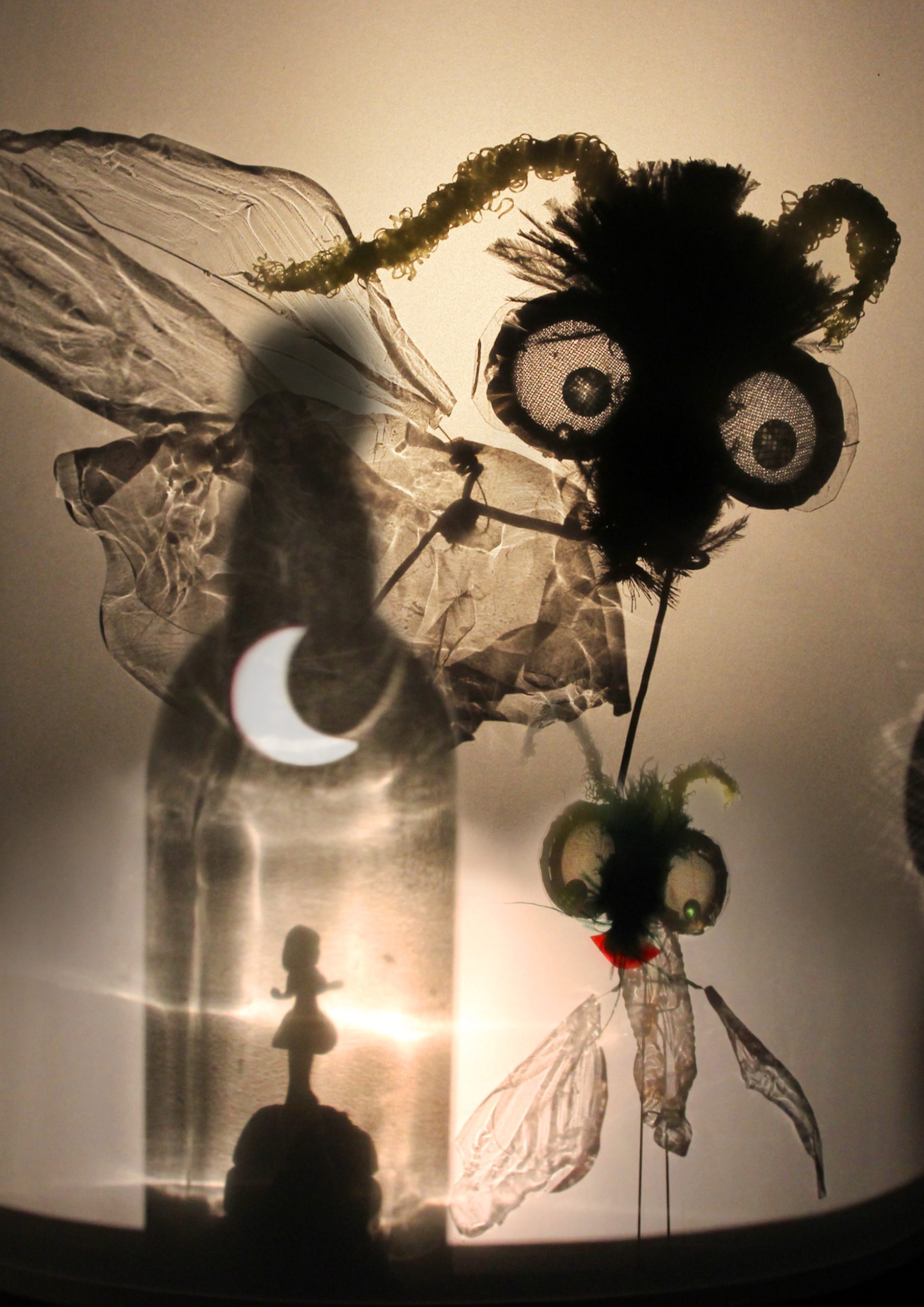 Fly me to the moon-4 -geen tekst